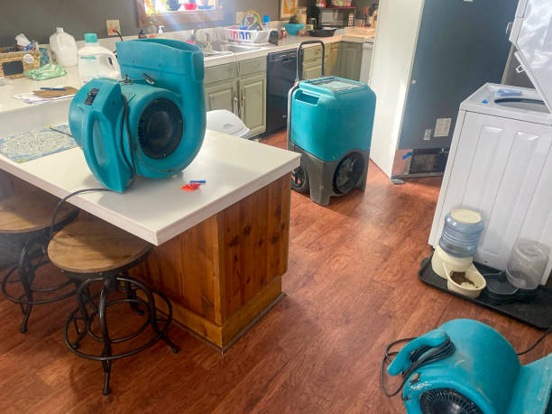 Best Flooded house restoration  in Glenwood, GA