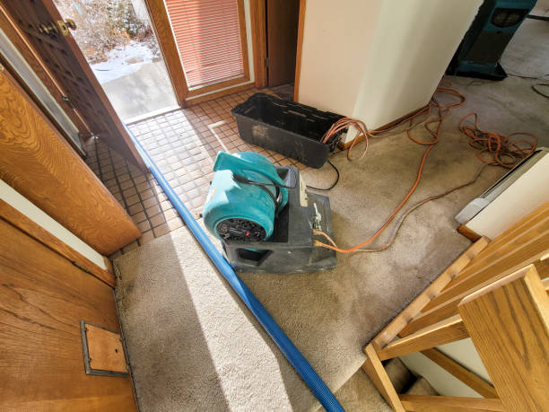 Best Ceiling water damage repair  in Glenwood, GA