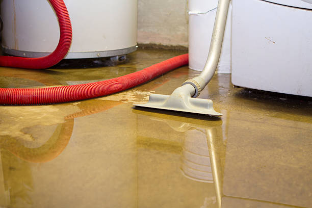 Best Water damage cleanup near me  in Glenwood, GA